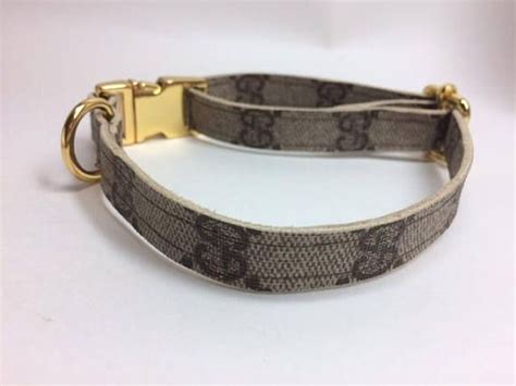 fake gucci pet collar